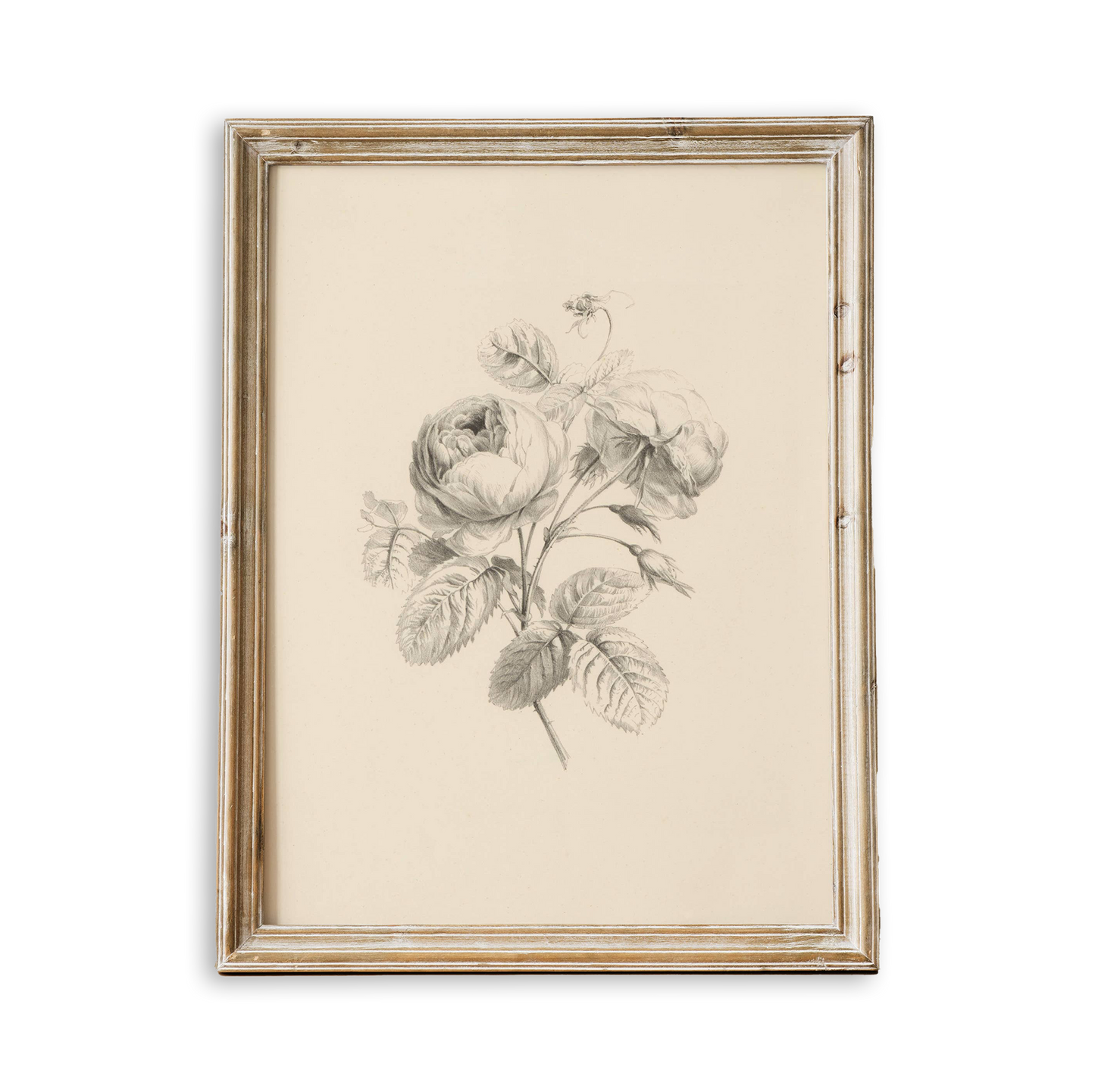 Floral Antique Vintage Art Print
