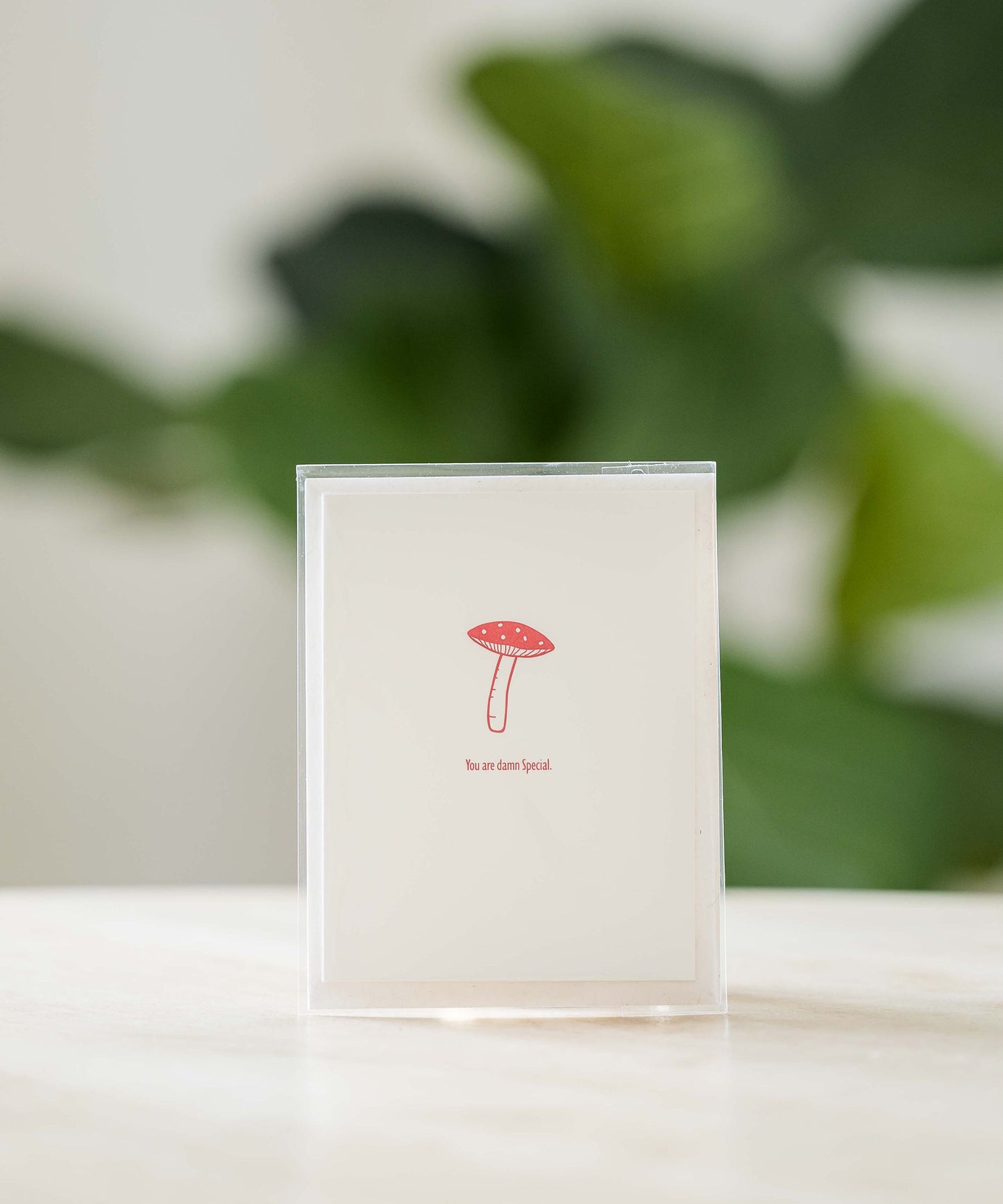 Greeting Cards