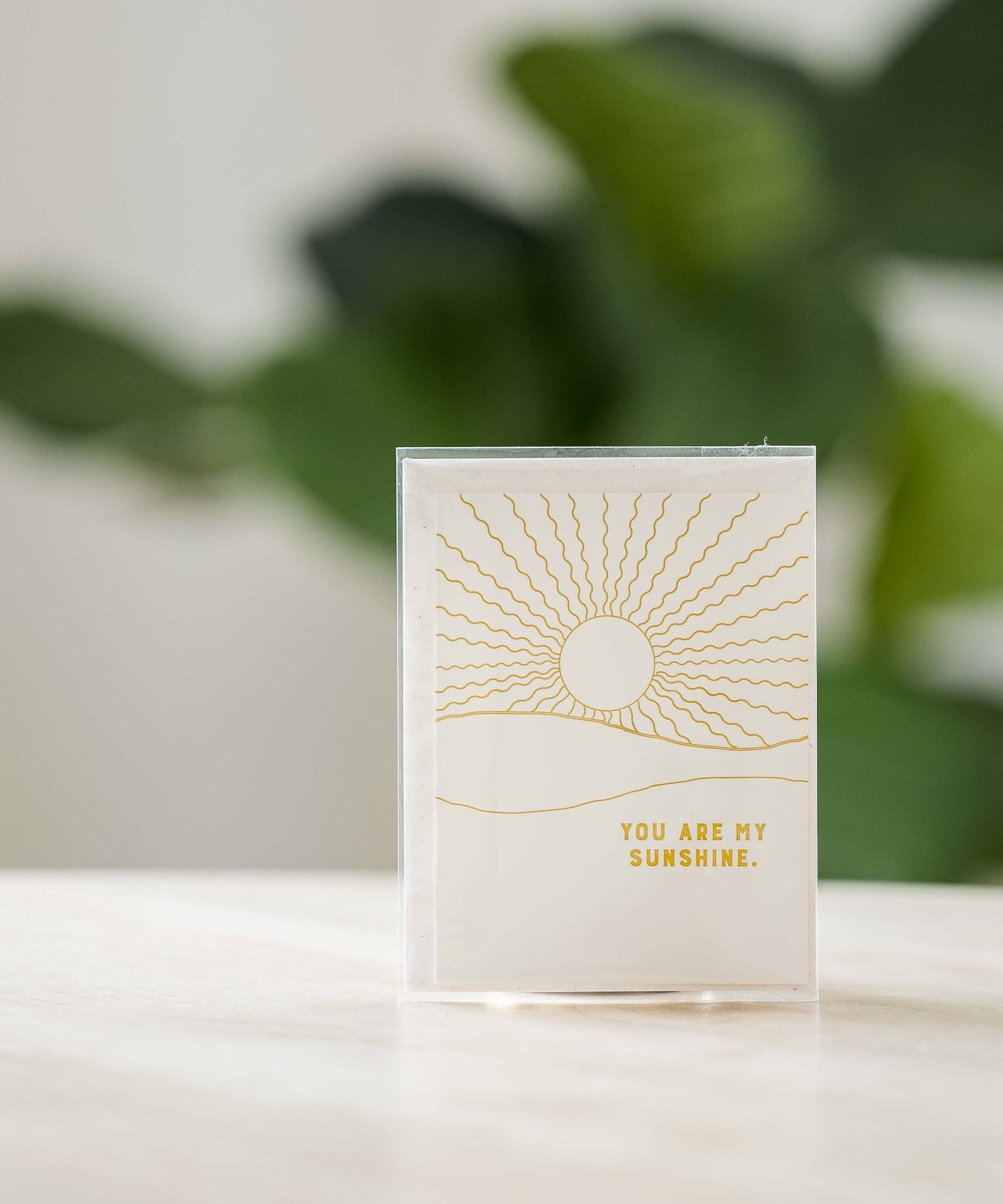 Greeting Cards